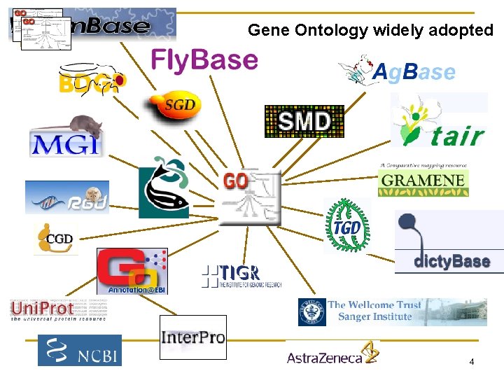 Gene Ontology widely adopted Ag. Base 4 