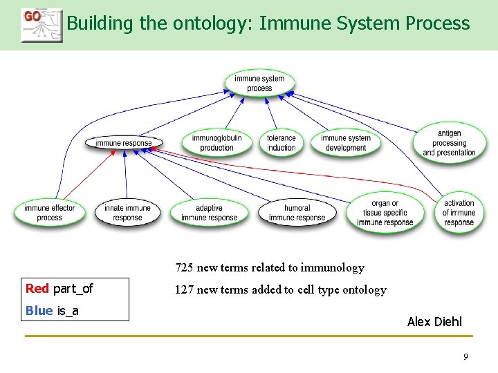 Building the ontology: Immune System Process 725 new terms related to immunology Red part_of