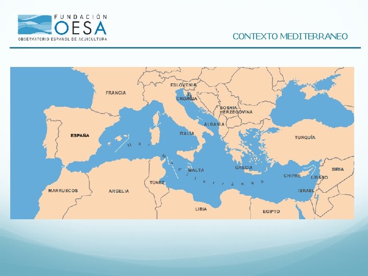 CONTEXTO MEDITERRANEO 