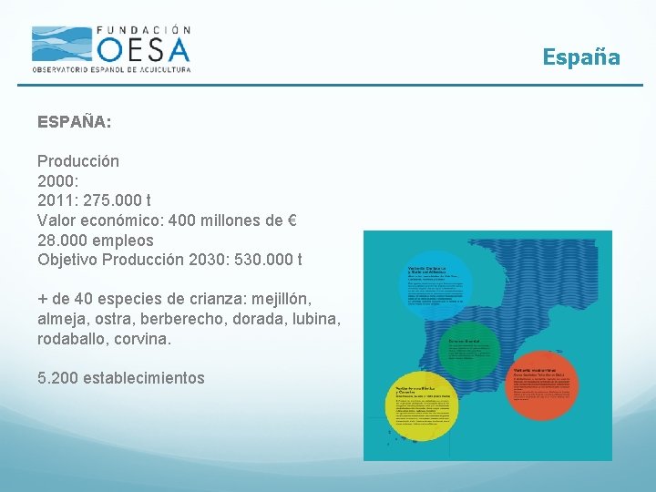 España ESPAÑA: Producción 2000: 2011: 275. 000 t Valor económico: 400 millones de €