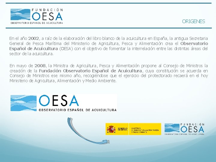 ORIGENES En el año 2002, a raíz de la elaboración del libro blanco de