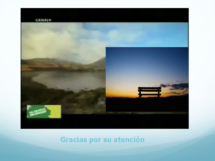 Gracias por su atención 