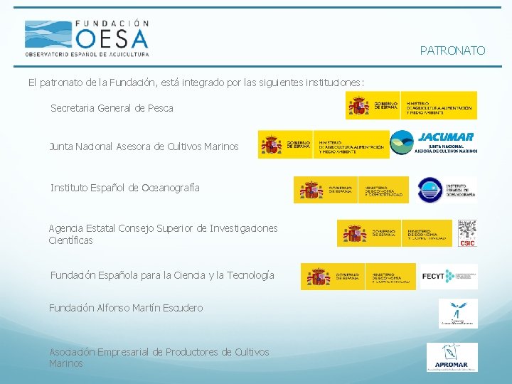 PATRONATO El patronato de la Fundación, está integrado por las siguientes instituciones: Secretaria General