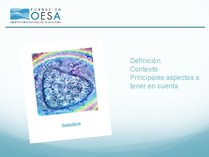 Definición Contexto Principales aspectos a tener en cuenta Acuicultura 