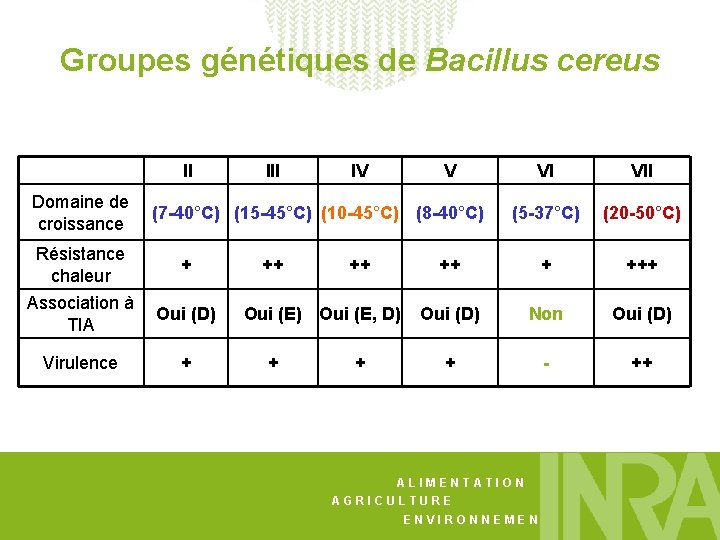 Groupes génétiques de Bacillus cereus II IV V VI VII (5 -37°C) (20 -50°C)