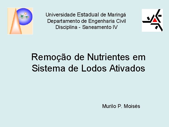 Universidade Estadual de Maringá Departamento de Engenharia Civil Disciplina - Saneamento IV Remoção de