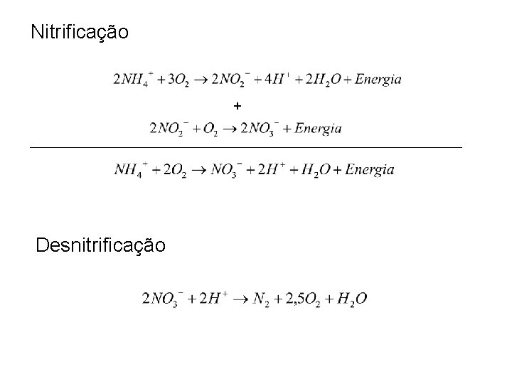 Nitrificação + Desnitrificação 