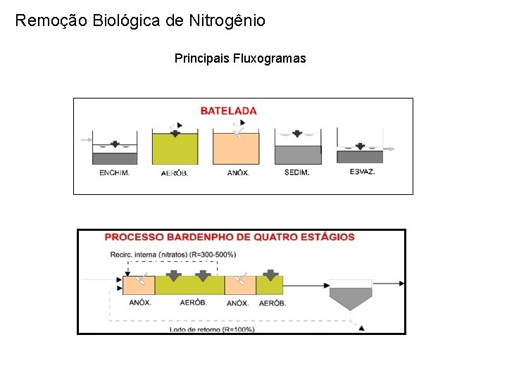 Remoção Biológica de Nitrogênio Principais Fluxogramas 