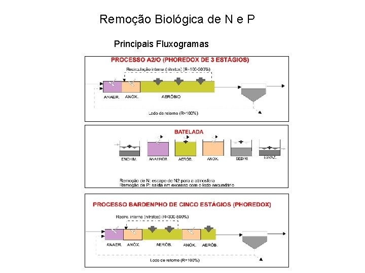 Remoção Biológica de N e P Principais Fluxogramas 