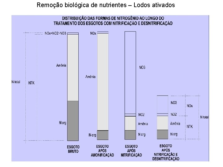 Remoção biológica de nutrientes – Lodos ativados 