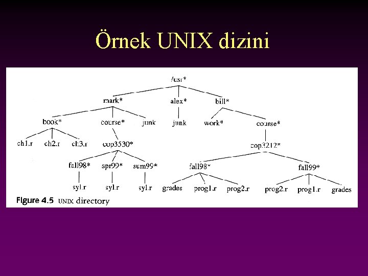 Örnek UNIX dizini 