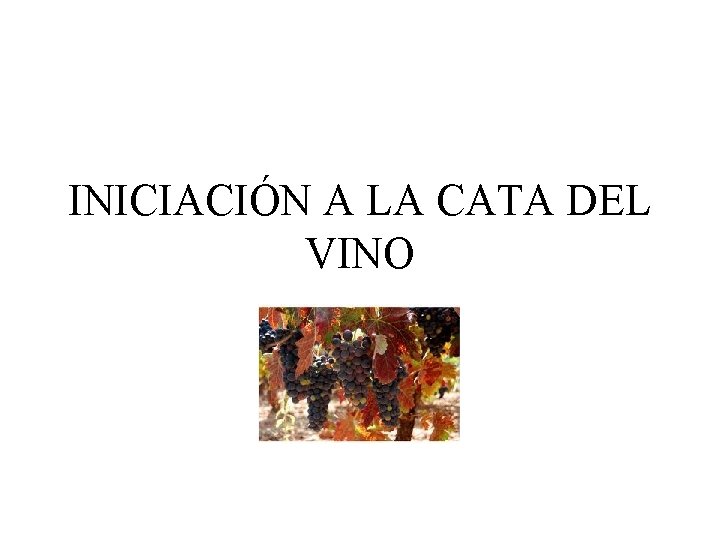 INICIACIÓN A LA CATA DEL VINO 