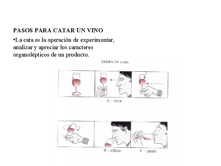 PASOS PARA CATAR UN VINO • La cata es la operación de experimentar, analizar