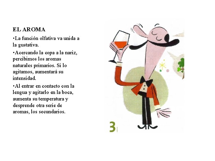 EL AROMA • La función olfativa va unida a la gustativa. • Acercando la