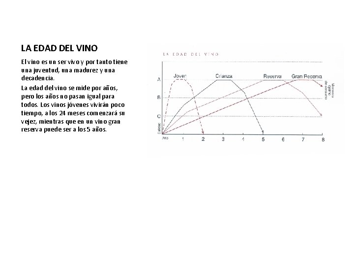 LA EDAD DEL VINO El vino es un ser vivo y por tanto tiene