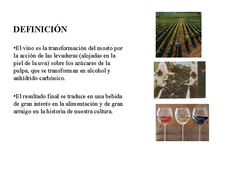 DEFINICIÓN • El vino es la transformación del mosto por la acción de las