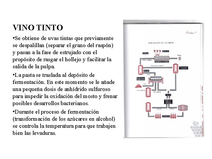 VINO TINTO • Se obtiene de uvas tintas que previamente se despalillan (separar el