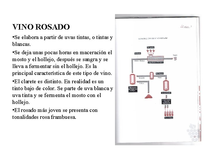 VINO ROSADO • Se elabora a partir de uvas tintas, o tintas y blancas.