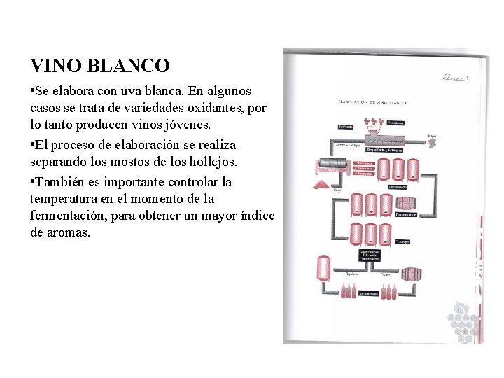 VINO BLANCO • Se elabora con uva blanca. En algunos casos se trata de