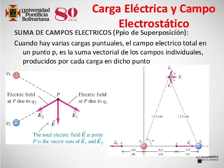 Carga Eléctrica y Campo Electrostático SUMA DE CAMPOS ELECTRICOS (Ppio de Superposición): Cuando hay