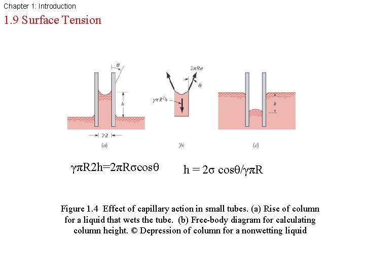 Chapter 1: Introduction 1. 9 Surface Tension γπR 2 h=2πRσcosθ h = 2σ cosθ/γπR