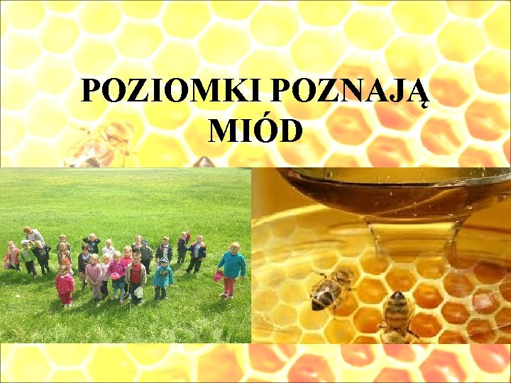 POZIOMKI POZNAJĄ MIÓD 