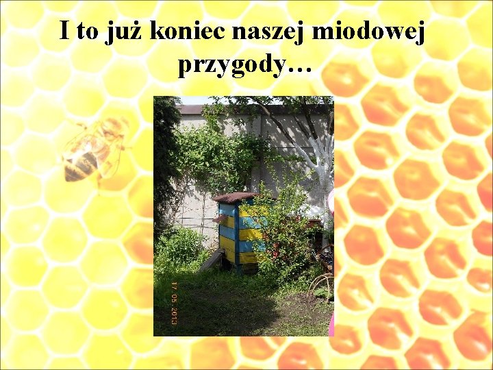 I to już koniec naszej miodowej przygody… 