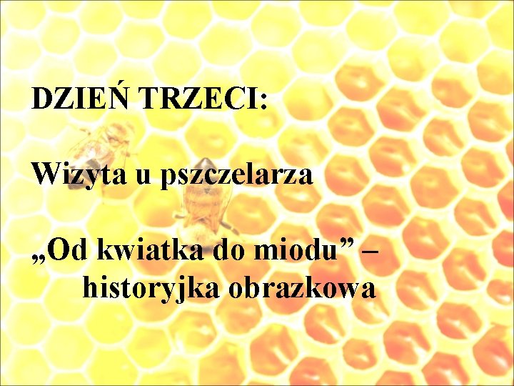 DZIEŃ TRZECI: Wizyta u pszczelarza „Od kwiatka do miodu” – historyjka obrazkowa 