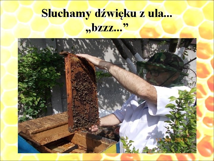 Słuchamy dźwięku z ula. . . „bzzz. . . ” 