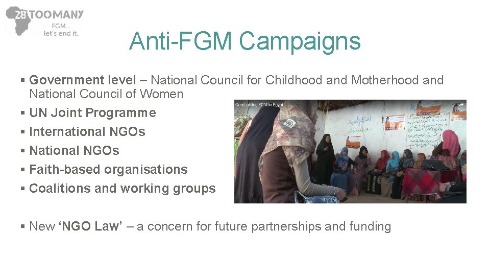 Anti-FGM Campaigns § Government level – National Council for Childhood and Motherhood and National