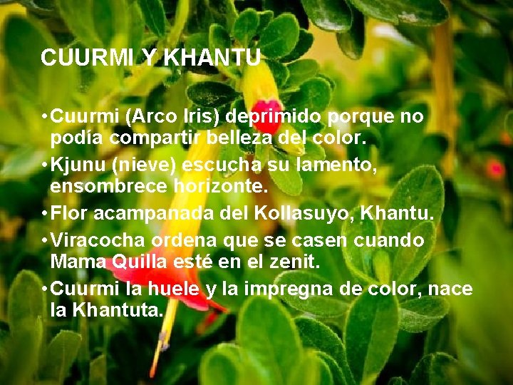 CUURMI Y KHANTU • Cuurmi (Arco Iris) deprimido porque no podía compartir belleza del