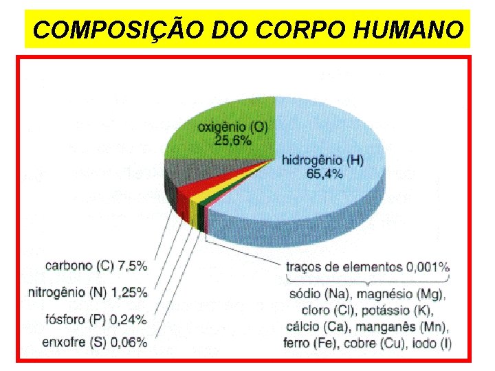 COMPOSIÇÃO DO CORPO HUMANO 