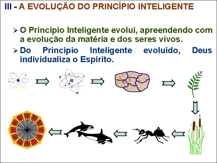  III - A EVOLUÇÃO DO PRINCÍPIO INTELIGENTE Ø O Princípio Inteligente evolui, apreendendo