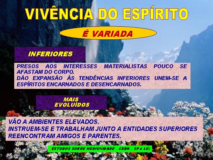 É VARIADA INFERIORES PRESOS AOS INTERESSES MATERIALISTAS POUCO SE AFASTAM DO CORPO. DÃO EXPANSÃO É VARIADA INFERIORES PRESOS AOS INTERESSES MATERIALISTAS POUCO SE AFASTAM DO CORPO. DÃO EXPANSÃO