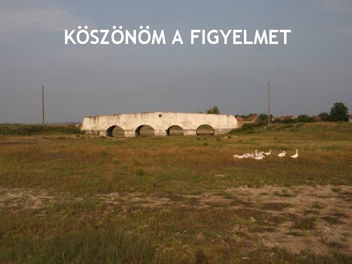 Az Érmellék Védett Területei KÖSZÖNÖM A FIGYELMET http: //www. eke. ro 