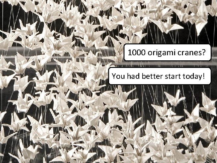 1000 origami cranes? You had better start today! 