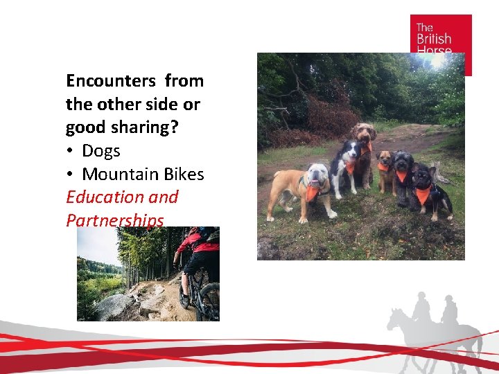 Encounters from the other side or good sharing? • Dogs • Mountain Bikes Education