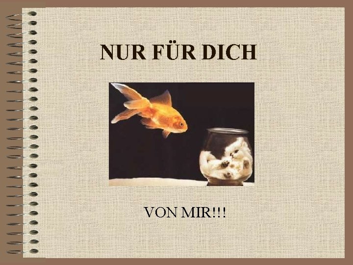 NUR FÜR DICH VON MIR!!! NUR FÜR DICH VON MIR!!!