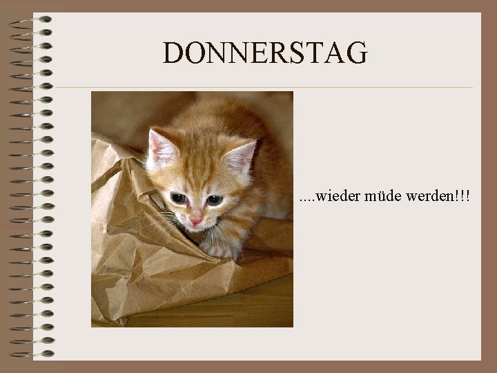 DONNERSTAG . . wieder müde werden!!! DONNERSTAG . . wieder müde werden!!!