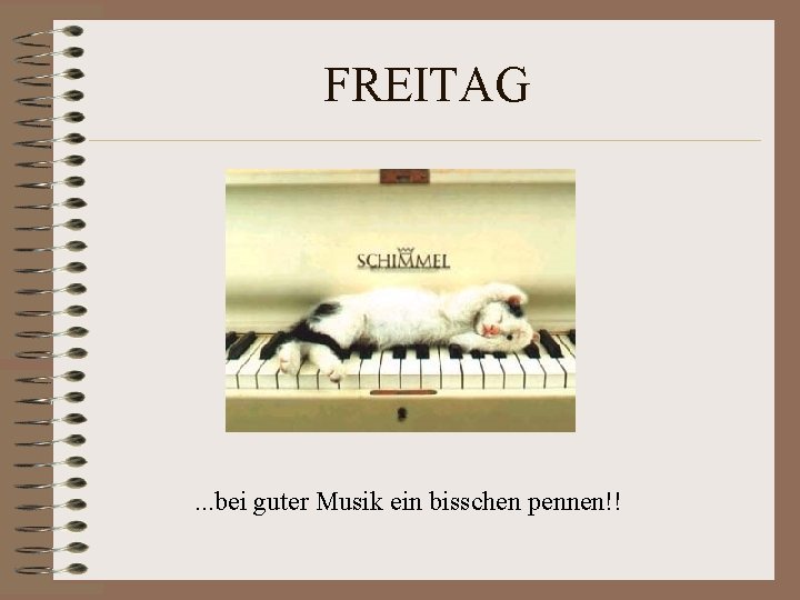 FREITAG . . . bei guter Musik ein bisschen pennen!! FREITAG . . . bei guter Musik ein bisschen pennen!!