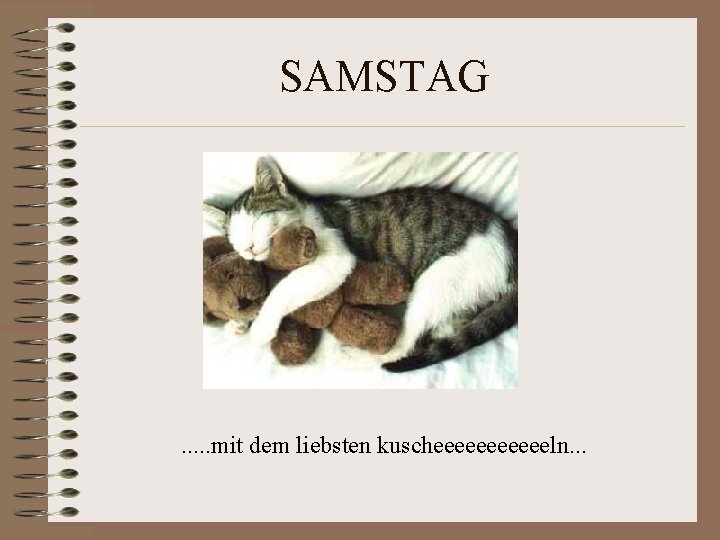 SAMSTAG . . . mit dem liebsten kuscheeeeeeln. . . SAMSTAG . . . mit dem liebsten kuscheeeeeeln. . .