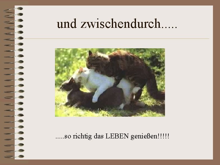 und zwischendurch. . so richtig das LEBEN genießen!!!!! und zwischendurch. . so richtig das LEBEN genießen!!!!!
