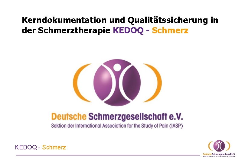 Kerndokumentation und Qualitätssicherung in der Schmerztherapie KEDOQ - Schmerz 