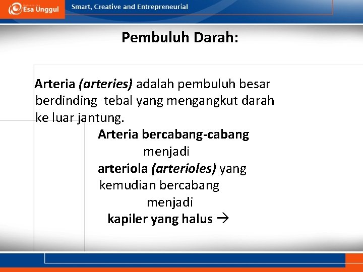 Pembuluh Darah: Arteria (arteries) adalah pembuluh besar berdinding tebal yang mengangkut darah ke luar