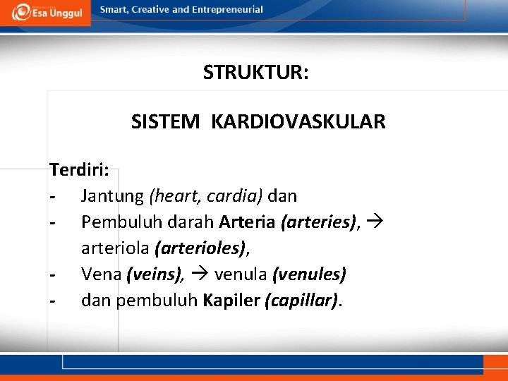 STRUKTUR: SISTEM KARDIOVASKULAR Terdiri: - Jantung (heart, cardia) dan - Pembuluh darah Arteria (arteries),