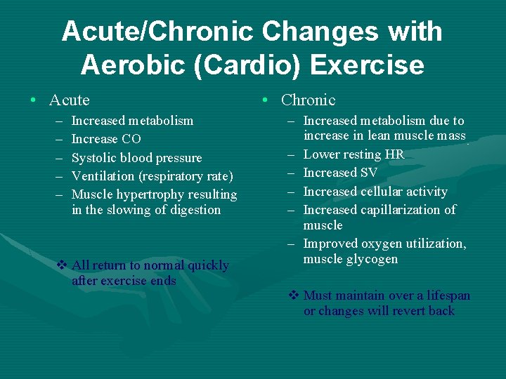 Acute/Chronic Changes with Aerobic (Cardio) Exercise • Acute – – – Increased metabolism Increase