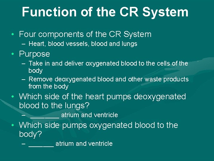 Function of the CR System • Four components of the CR System – Heart,