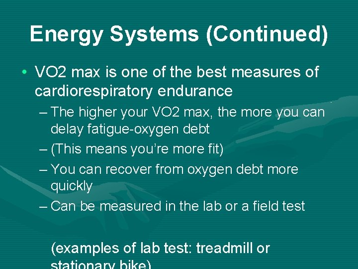 Energy Systems (Continued) • VO 2 max is one of the best measures of