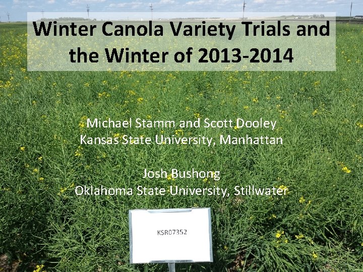 Winter Canola Variety Trials and the Winter of 2013 -2014 Michael Stamm and Scott