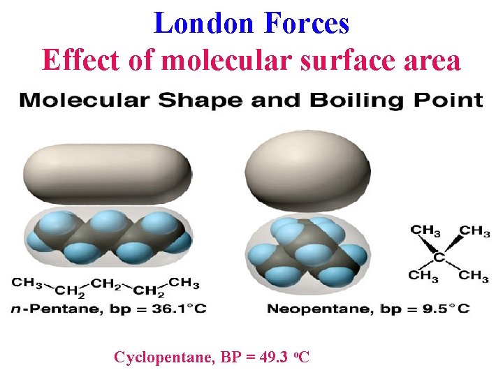 London Forces Effect of molecular surface area Cyclopentane, BP = 49. 3 o. C